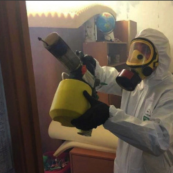 Уничтожение клопов в квартире. Тайцы